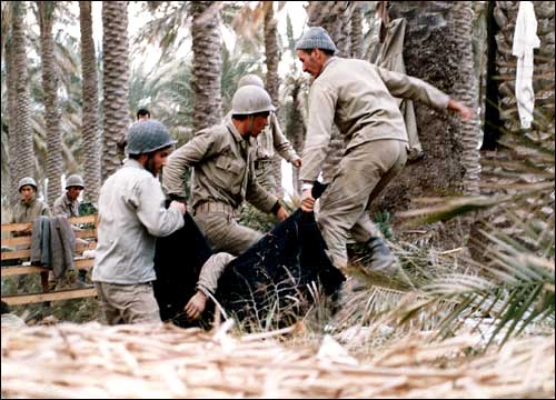  iran-iraq war